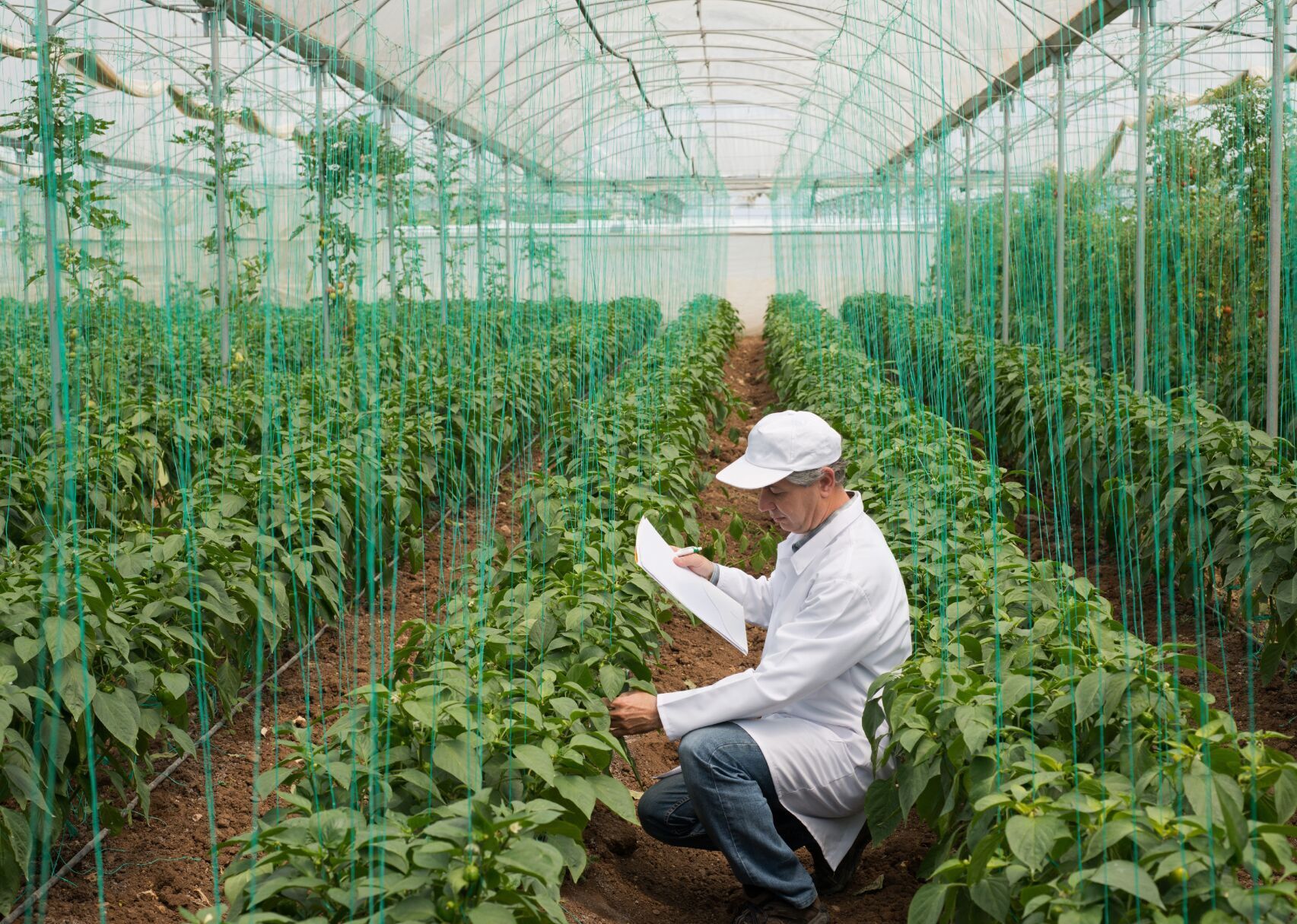 #83. Agricultural engineers
